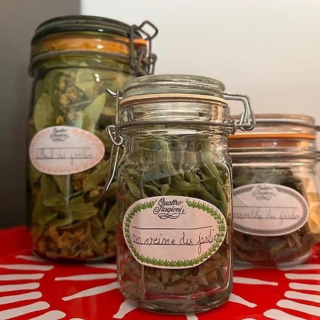 Appartement Cosy Au Calme Les Monts-Ronds Εξωτερικό φωτογραφία